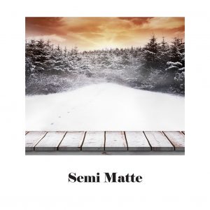 Image of a a snowy forest with a wooden boardwalk. Satin matte paper.